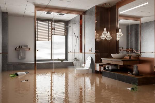 Nearby Water Damage Restoration Services with ProMaster’s Expertise